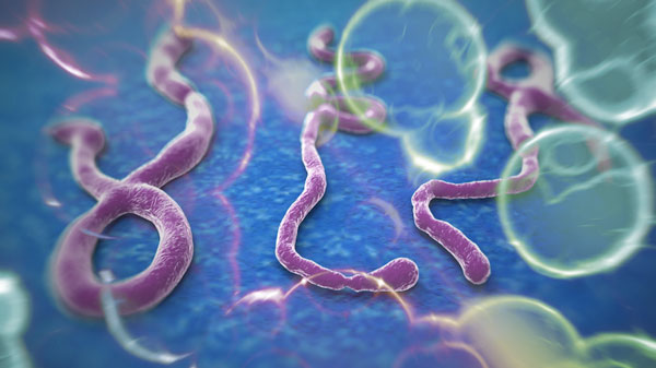 Lamezia: AspCz, primo incontro sul tema “Emergenza Ebola” all’ospedale 