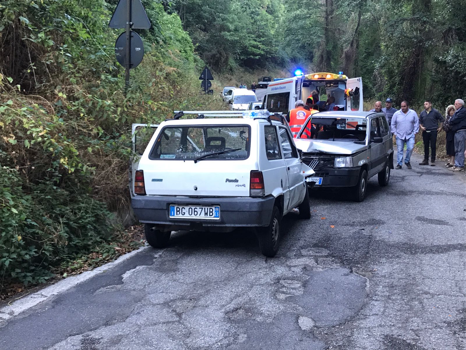 Coldiretti Calabria: emergenza cinghiali, dipartimento agricoltura proceda a rimborsare danni subiti