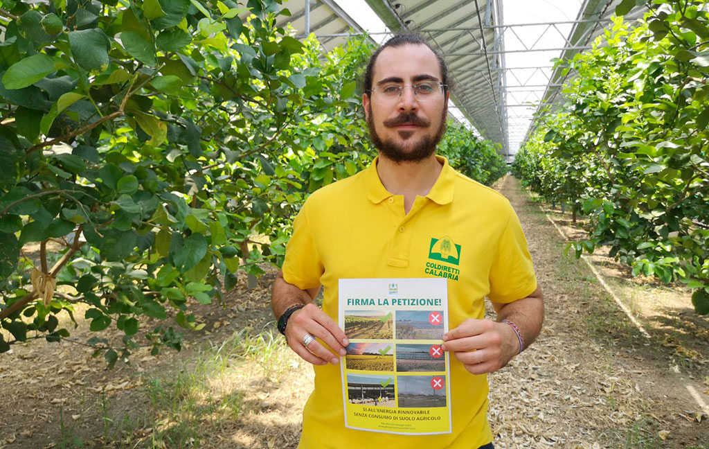 Coldiretti Calabria, giovani agricoltori lanciano petizione contro pannelli fotovoltaici mangia suolo