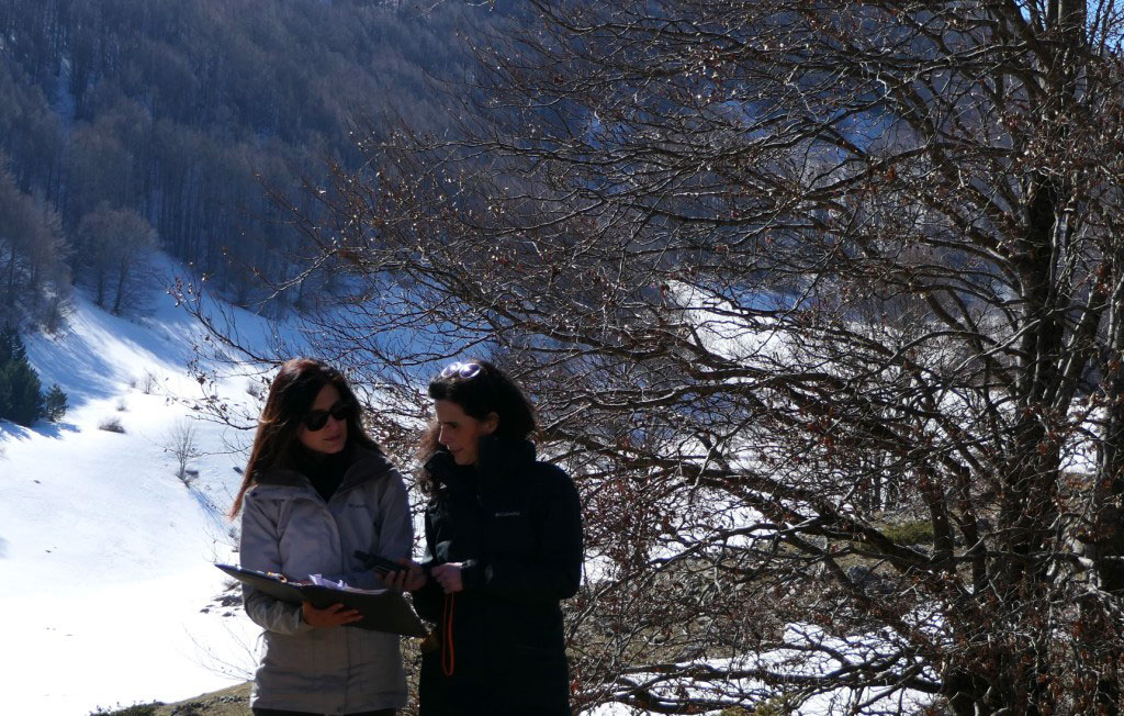 Zoologhe associazione lametina ‘Ge.Co’ tra esperti monitoraggio nazionale del lupo