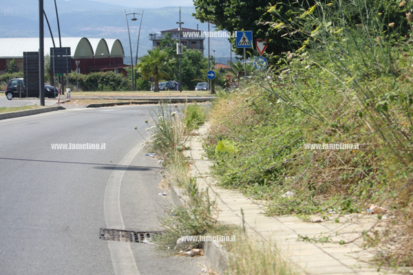 Lamezia: Erbacce invadono marciapiedi e piste ciclabili