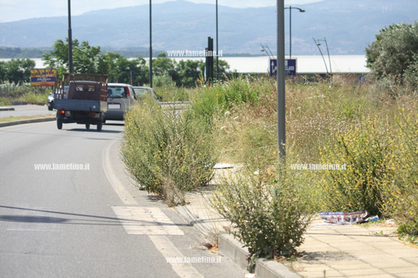 Erbacce-via-dei-Bizatini-e-via-del-Progresso-2014-3.jpg