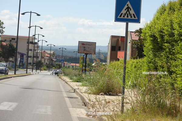 Erbacce-via-dei-Bizatini-e-via-del-Progresso-2014-4.jpg