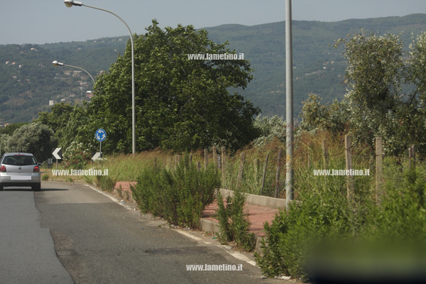Erbacce-via-dei-Bizatini-e-via-del-Progresso-2014-6.jpg