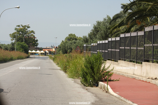 Erbacce-via-dei-Bizatini-e-via-del-Progresso-2014-7.jpg