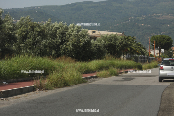Erbacce-via-dei-Bizatini-e-via-del-Progresso-2014-9.jpg