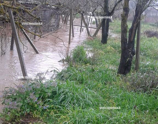 FOTO-03gizzeria-allagamento.jpg