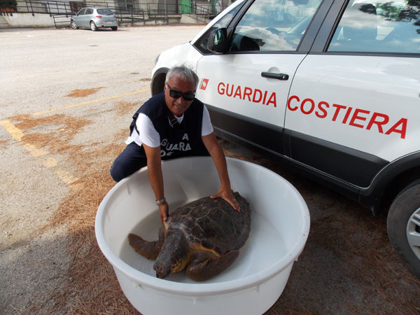 Calabria: Recuperata tartaruga caretta caretta a Curinga
