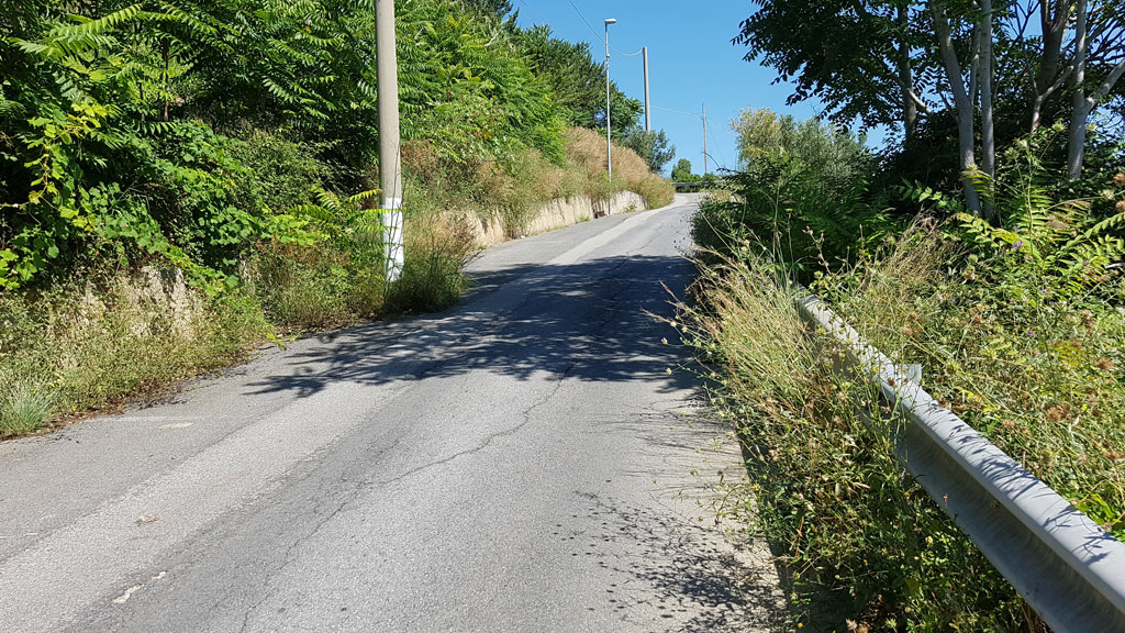 Falerna-degrado_2.jpg