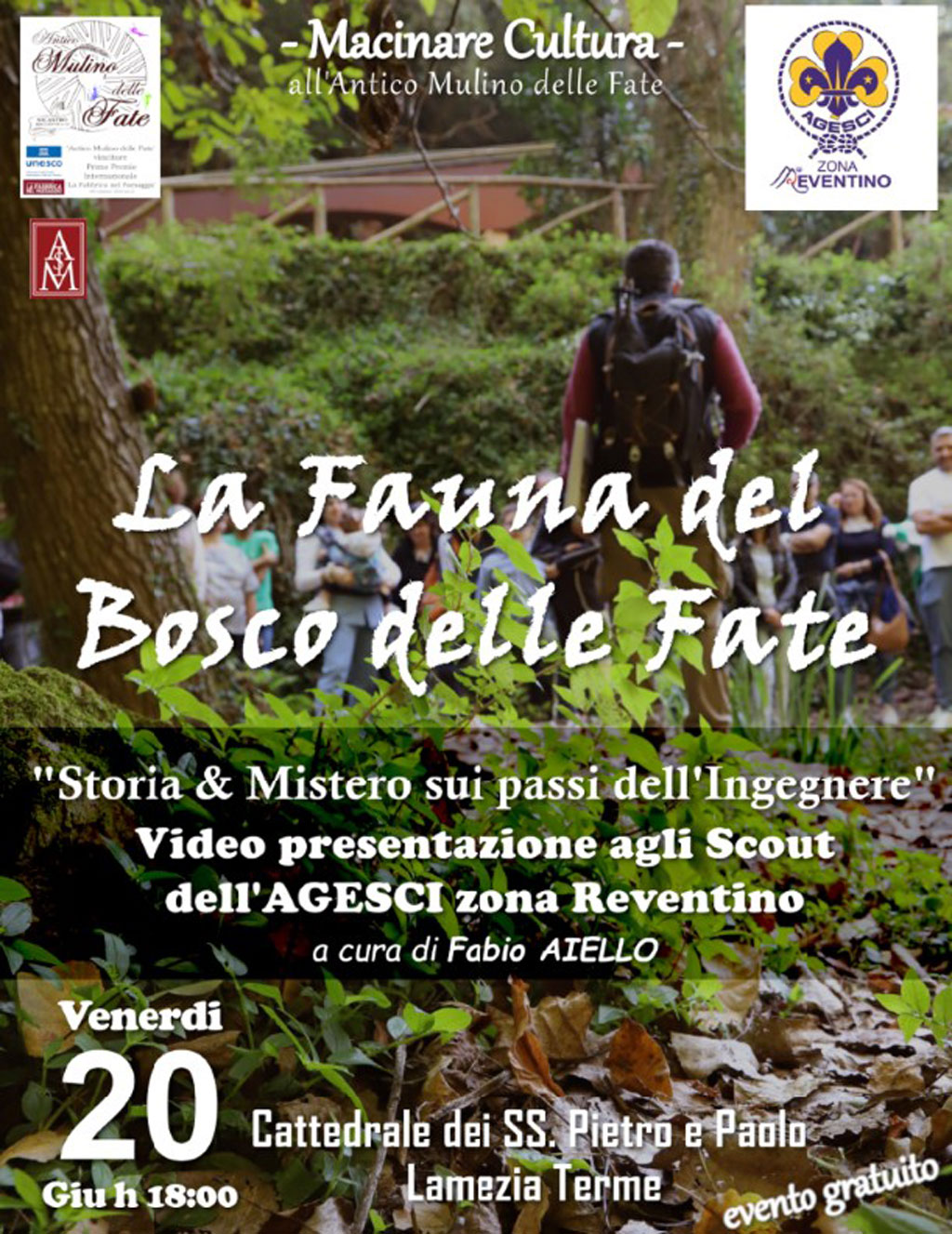 Fauna-del-bosco-scout_23ef1.jpg