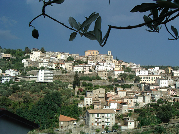 Calabria: Assegnati riconoscimenti ai vincitori del Premio letterario “Ferula d’Oro”