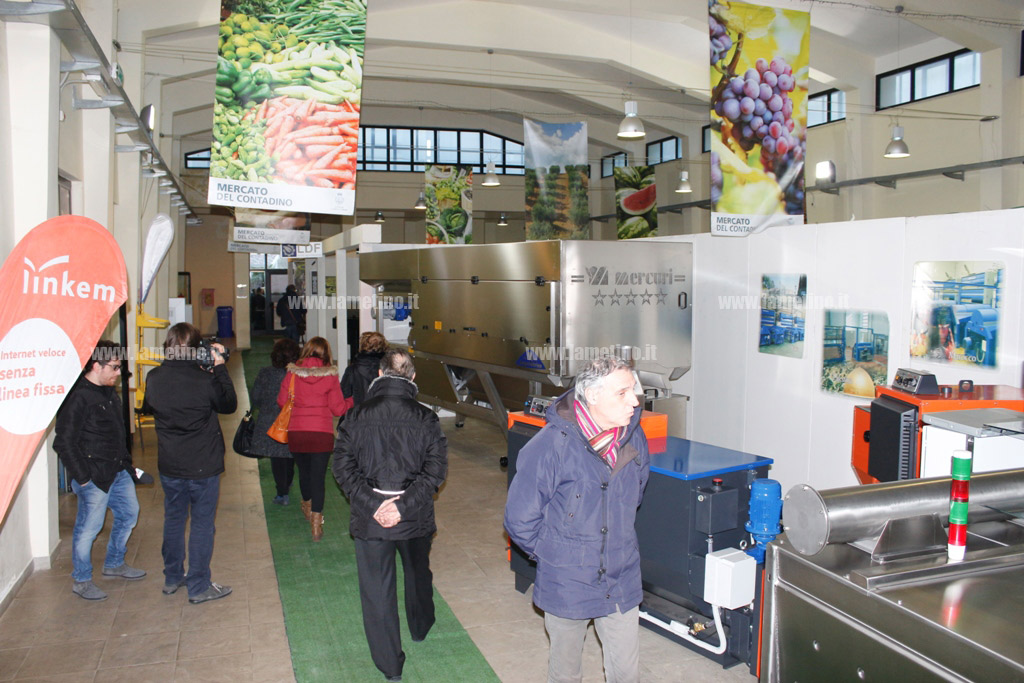 Fieragricola-2017_6.jpg