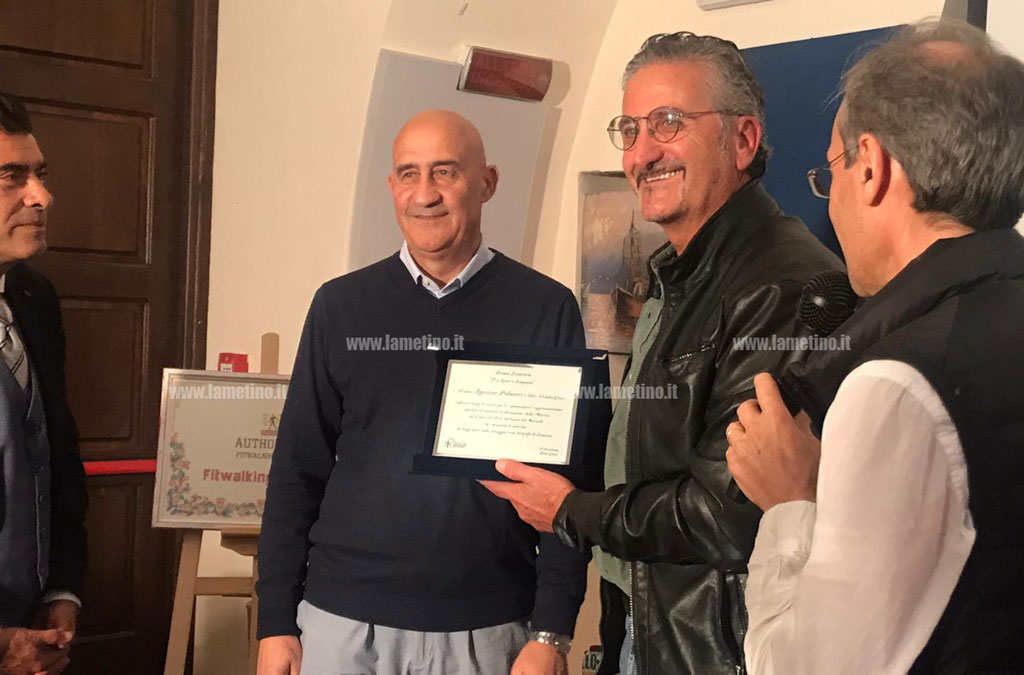 FitWalking--lamezia-711192.jpg
