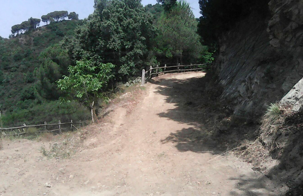 In via di completamento percorso fitness nel Parco della Biodiversità