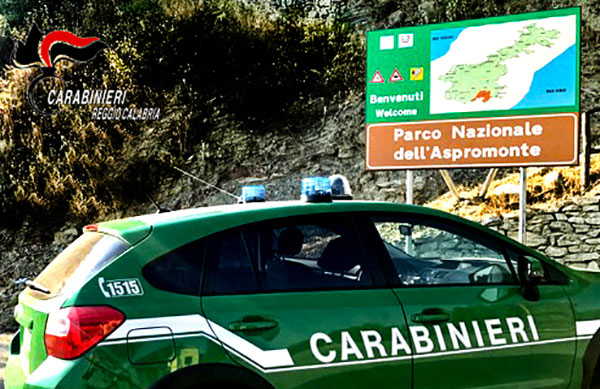 Dispersi nel Parco nazionale d’Aspromonte, ritrovati dai Carabinieri forestali