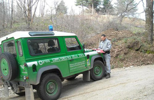 Furto di legna nell'area Parco Pollino, quattro denunce