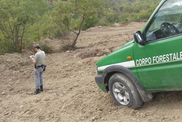 Sbancamento senza permessi distrugge bosco di 5 ettari nel crotonese, una denuncia
