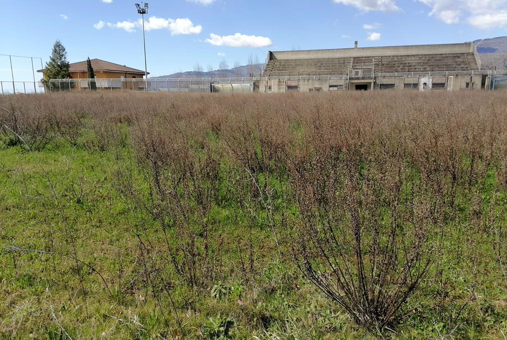 Lamezia, associazione su campo sportivo di Fronti: "Degrado assoluto, Comune sordo ad appelli"