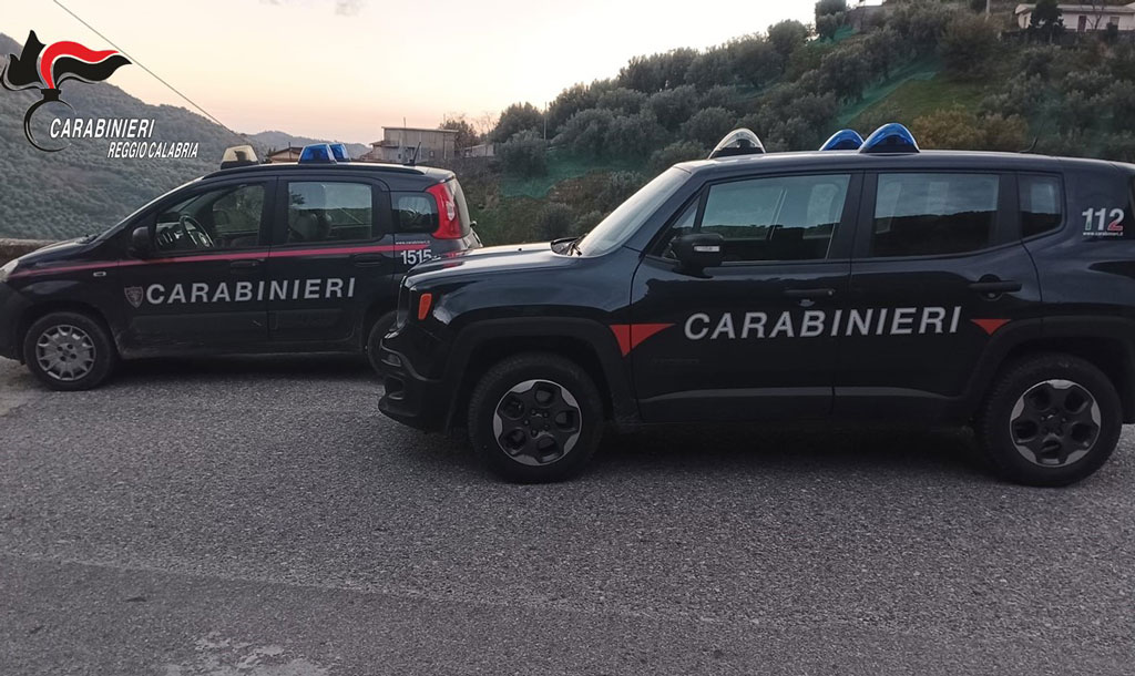 Smaltimento illecito di rifiuti, denunciati nel Reggino 10 titolari di frantoi