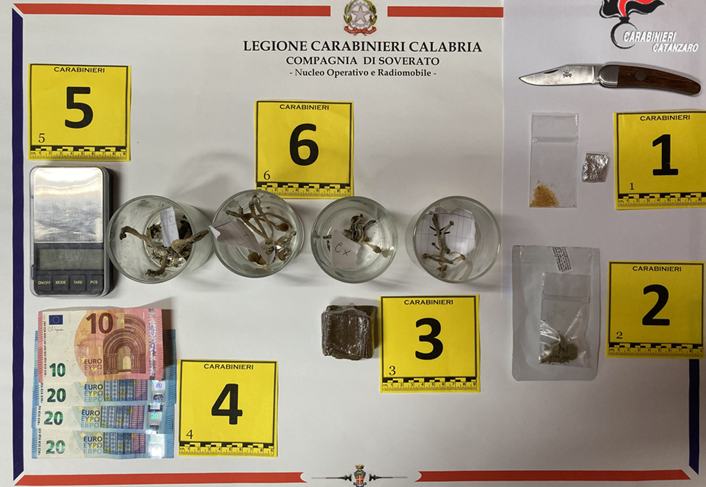 Trovato con hashish e funghi allucinogeni, un arresto a Petrizzi