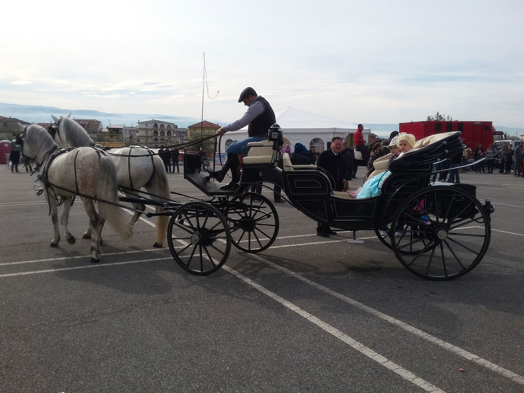 Foto-settima-giornata-fiera_agricola2016.jpg