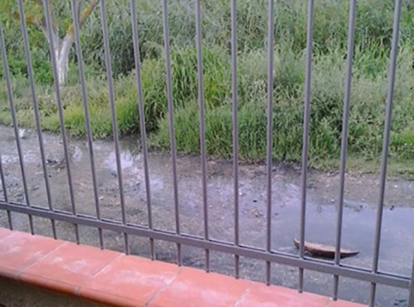 Frazione-Torricella_corigliano_2.jpg