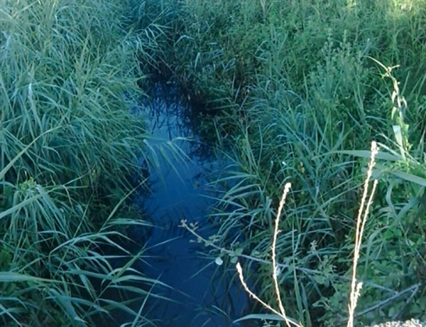 Frazione-Torricella_corigliano_3.jpg