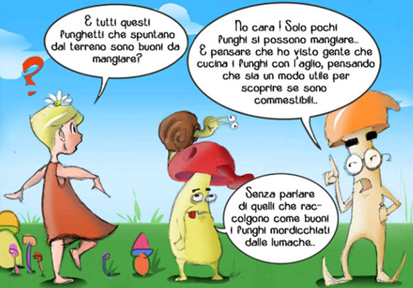 ASP Catanzaro, il 7 giugno alla cittadella regionale presentazione fumetto per spiegare i funghi ai bambini