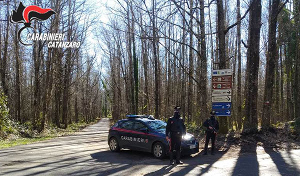 Furto di legname, arrestato 46enne a Girifalco 