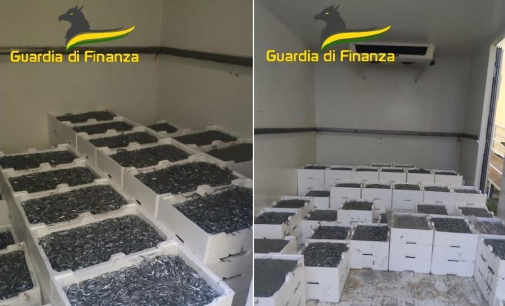 Sequestrati in Calabria oltre 17 quintali di novellame non commestibile