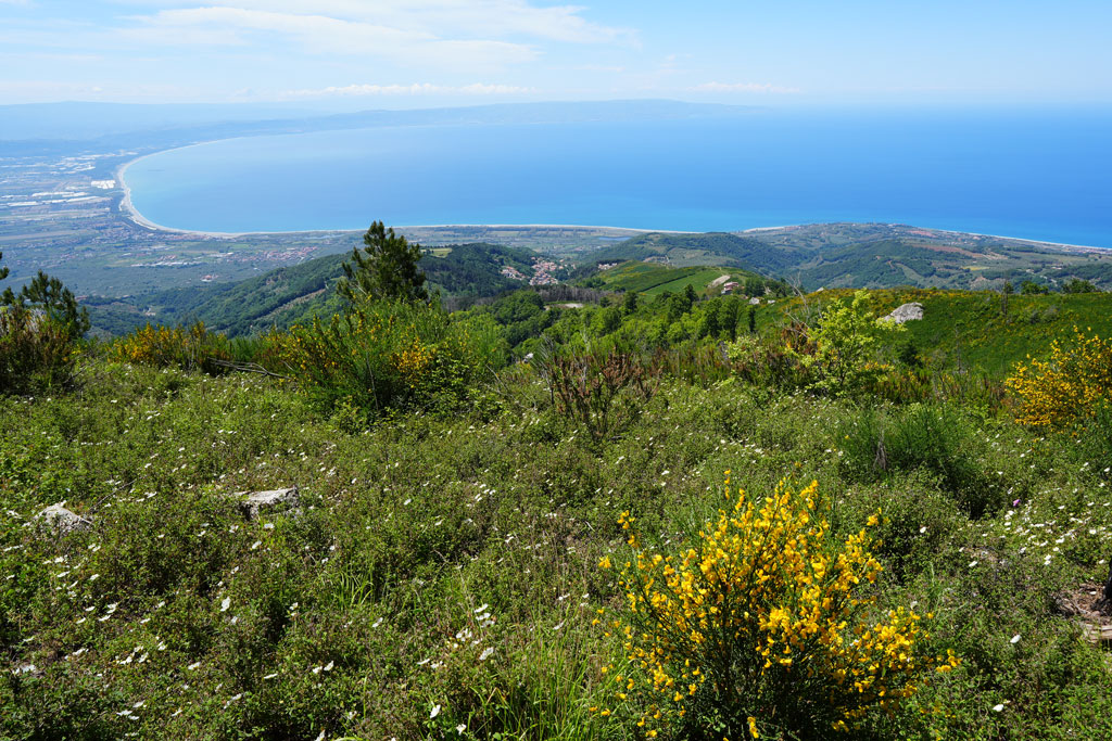 G4196.-Reventino-Mancuso.-M.-del-Greco.-Ph-F.-Bevilacqua_e4c5f.jpg