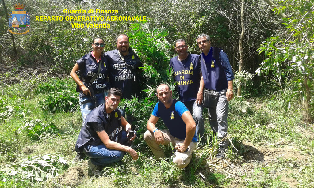 GDF-canapa-Lamezia-Terme-55.jpg
