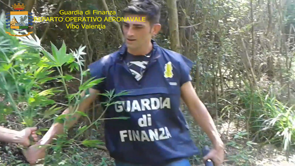 GDF-canapa-Lamezia-Terme33.jpg