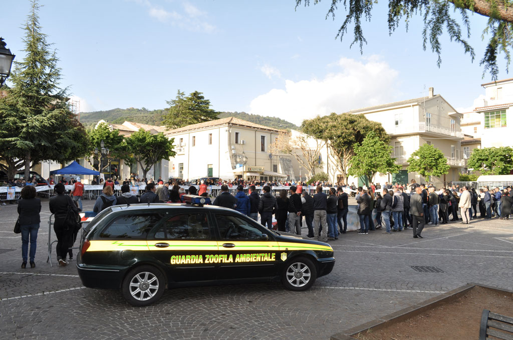 GUARDIE-ECOZOOFILE-PIAZZA-5-DICEMBRE-LAMEZIA-TERME.jpg