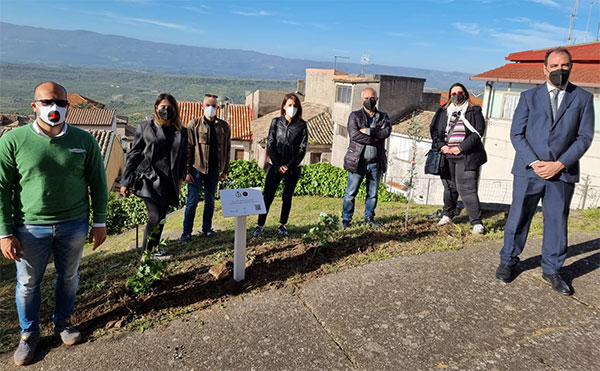 Il quattordicesimo "giardino della memoria", giornata per ricordare le vittime di Covid a Maida 