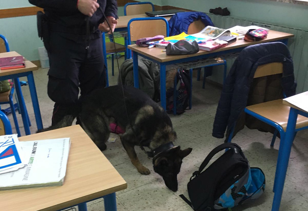 Carabinieri in visita a scuole medie di Cotronei per “Giornata della legalità”