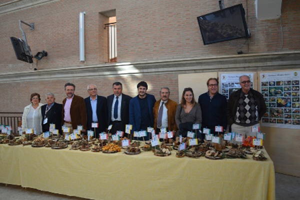 Calabria: Conclusa manifestazione “Giornate Micologiche”