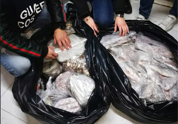 Operazione "Undersize 2", Guardia Costiera sequestra 3 tonnellate di pesce in Calabria 