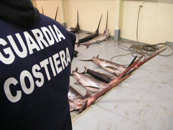 Calabria: Sequestrati 50 chili di pesce spada a Reggio Calabria 