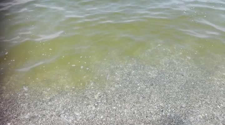 IMG-20180808-WA0013.jpg