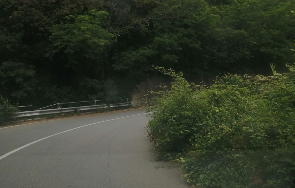 IMG-20240528-WA0030_8e8ce.jpg
