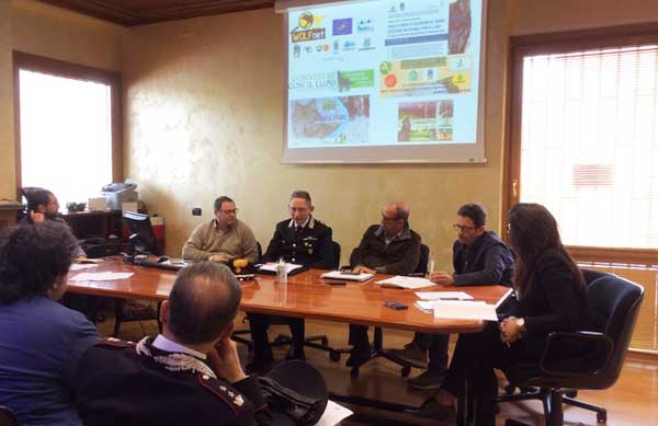 "Strategie condivise per la salvaguardia del lupo": al via progetto Wolfnet SILA