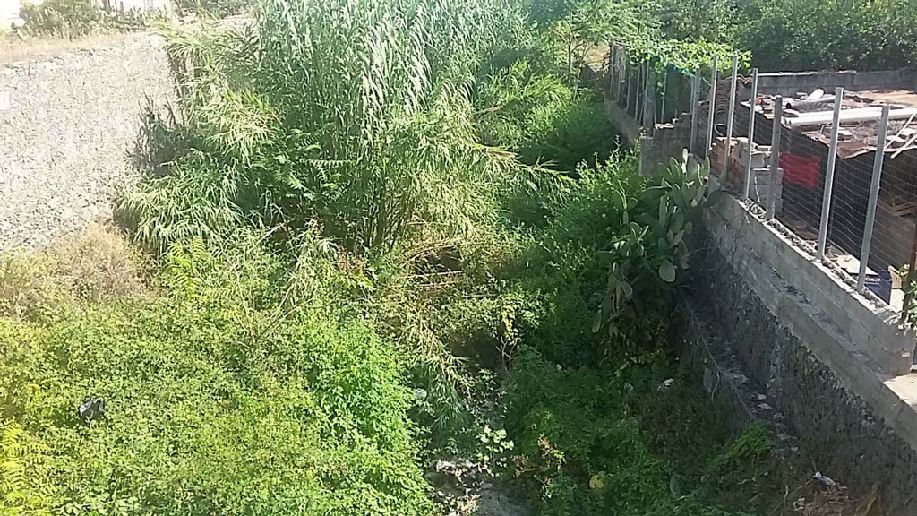 Lamezia, Gigliotti (CasaPound): "Torrente Cantagalli nel degrado, serve intervento"