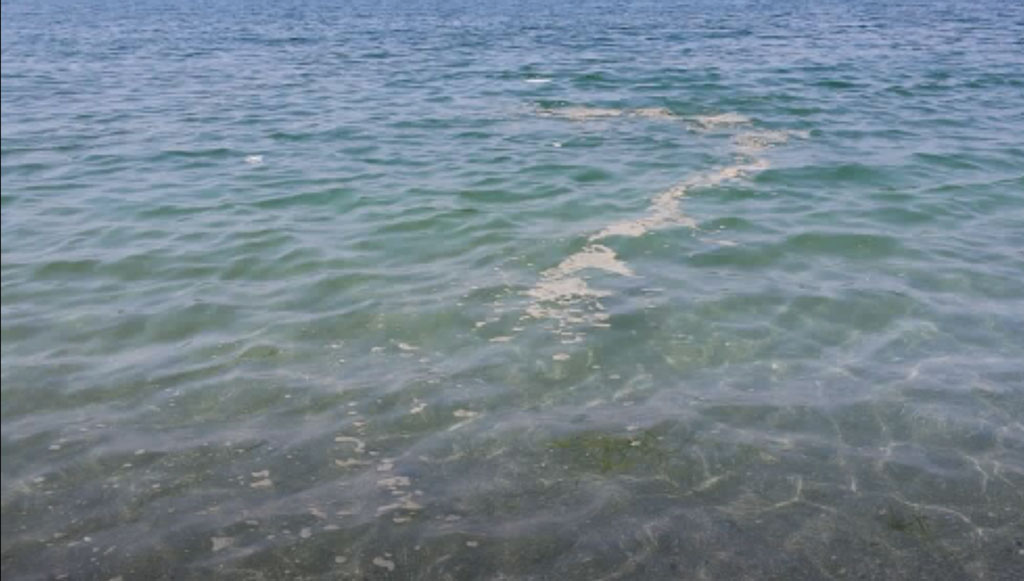 Continuano segnalazioni di mare sporco sul Tirreno