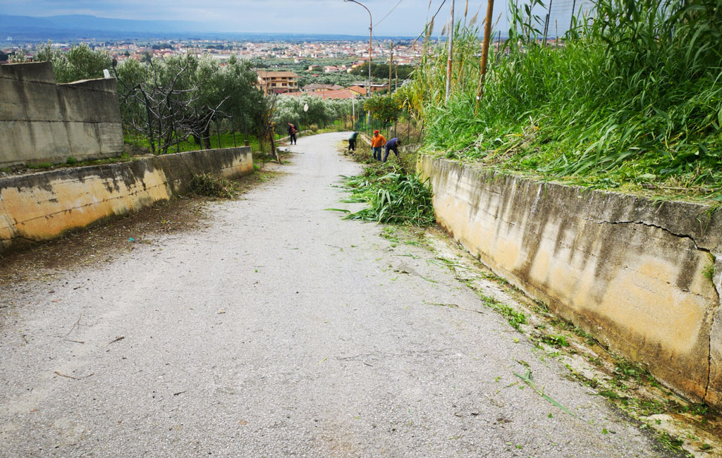 Lamezia, rifiuti e sterpaglie in via Dario Leone: cittadini ripuliscono strada