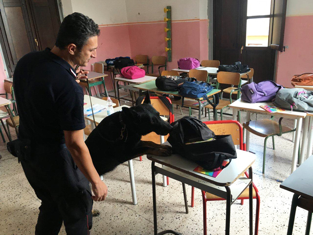 Controlli anti droga dei carabinieri negli istituti scolastici a Petilia Policastro