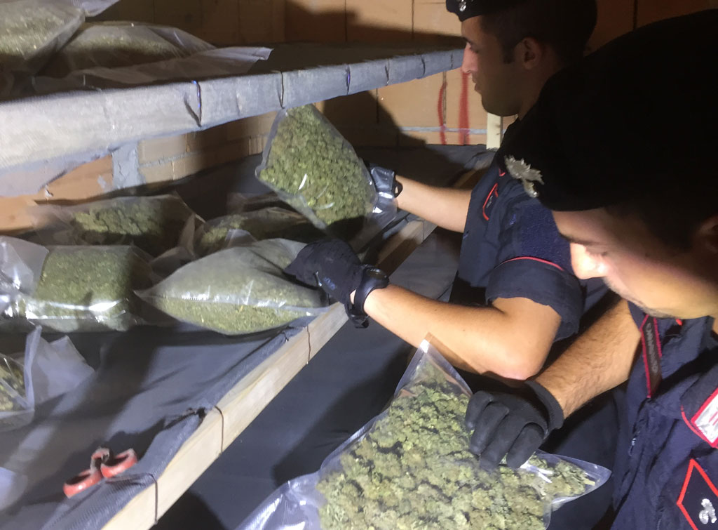 Serra indoor di marjuana scoperta a Isola Capo Rizzuto, un arresto