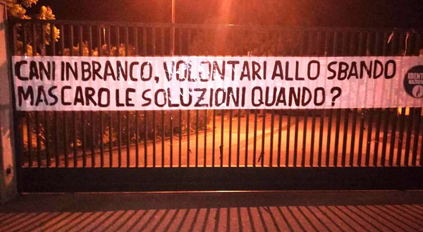 Lamezia, Identità Nazionale: "Sindaco si occupi dei randagi"