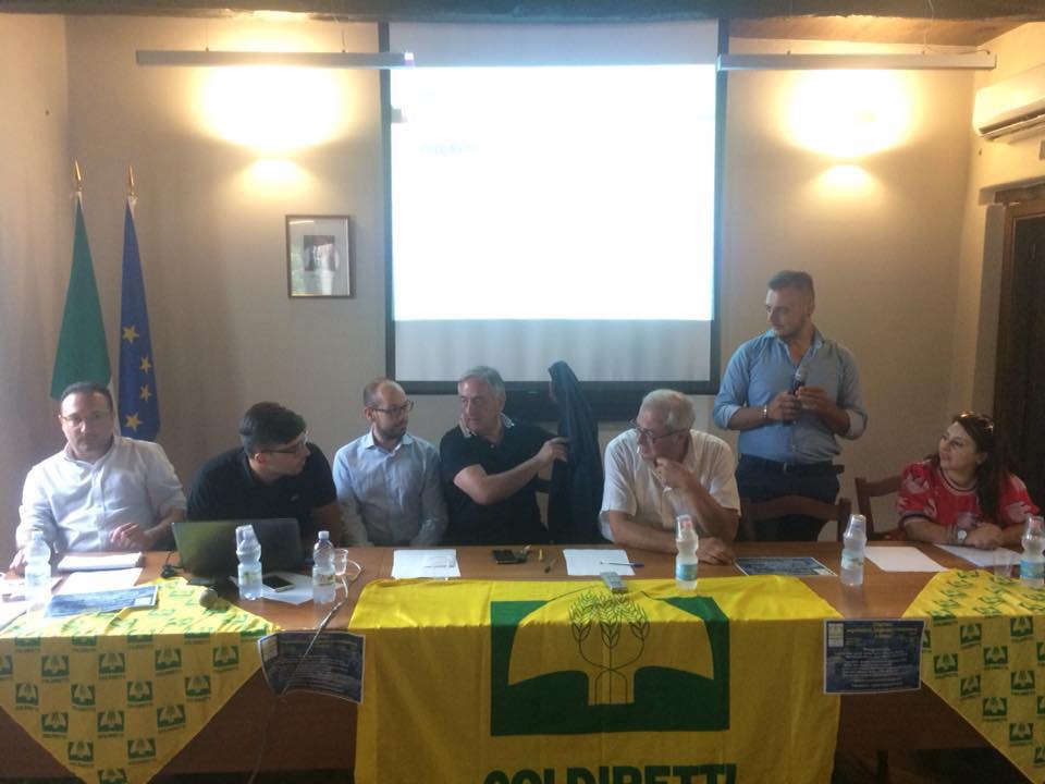 Emergenza cinghiali, Coldiretti fa il punto a Serrastretta