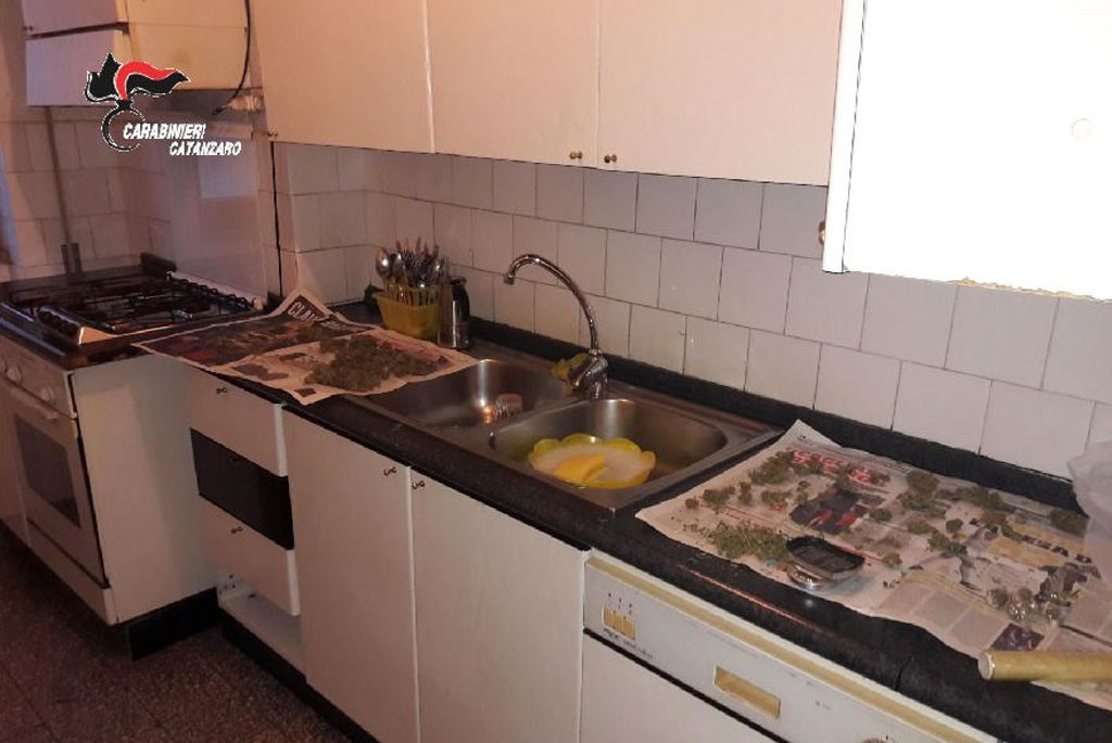 Lamezia, droga nella cucina di casa: arrestati due fratelli